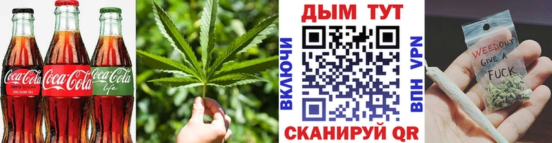 купить закладку  Унеча  omg как войти  Canna-Cookies конопля 