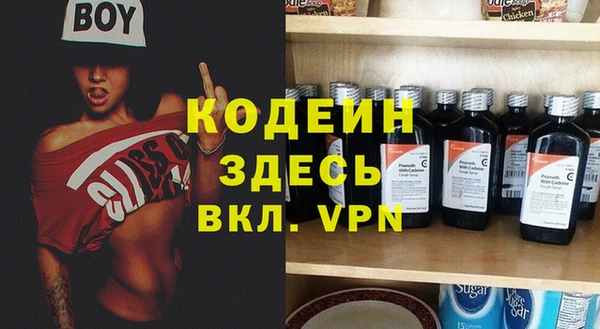 прущие грибы Алзамай