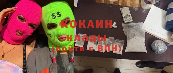 прущие грибы Алзамай