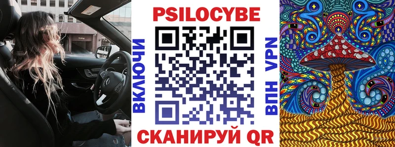 ОМГ ОМГ зеркало  Унеча  это как зайти  Псилоцибиновые грибы прущие грибы 